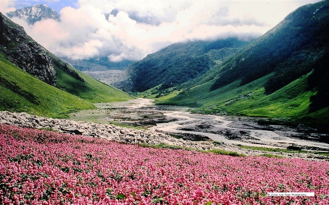 Valley of flowers trek